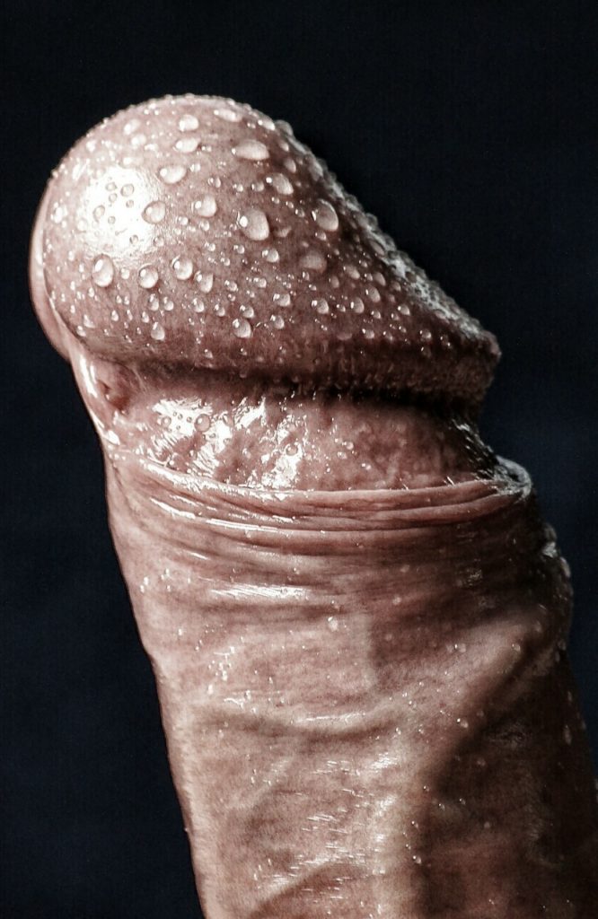 Wet Penis closeup